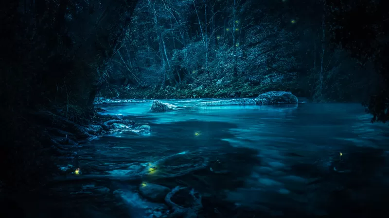 Forest, River, Night, Dark, Magical, Crescent Moon, Blue, Fairies