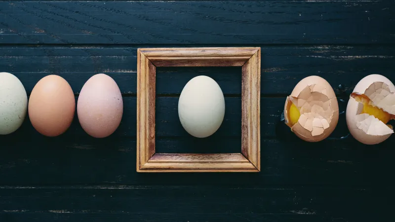 Easter eggs Frame wallpaper 4K