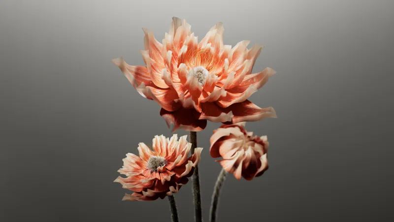 Peach Digital flower, AI art, 8K wallpaper, Grey background