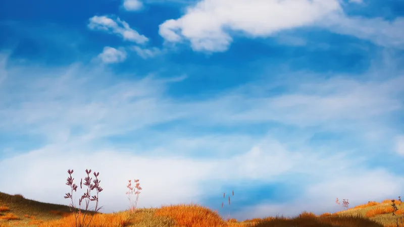 Grass field Landscape, Blue Sky, 5K wallpaper, Clouds
