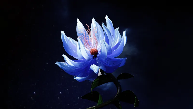 Lotus flower Blue aesthetic Dark aesthetic, 8K Dark background