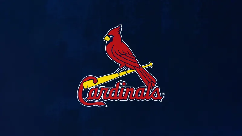 St. Louis Cardinals 4K Wallpaper, Baseball team