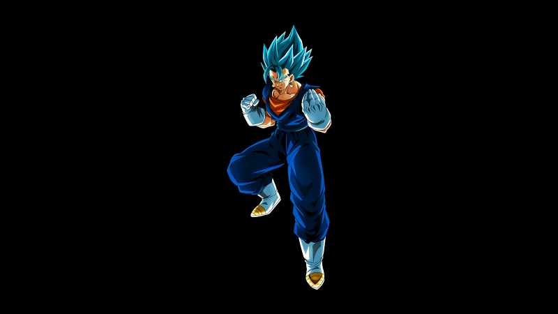 Super Saiyan God, Vegito, Black background, AMOLED
