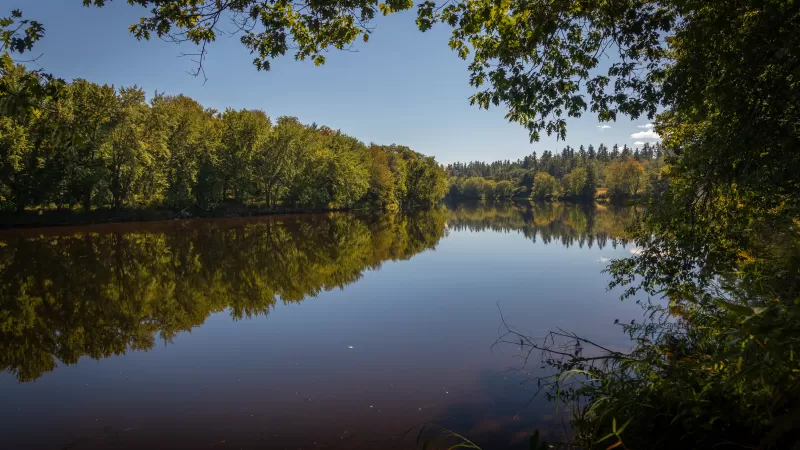 Androscoggin River wallpaper, Tree reflection, Sunny day