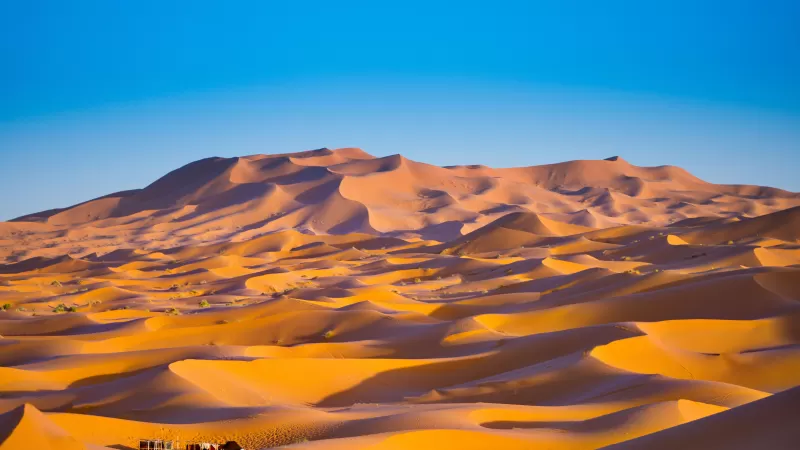 Sahara Desert, Merzouga, Morocco, Sand Dunes, Blue Sky, Sunny day, 5K