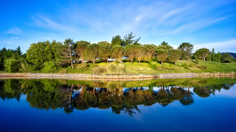 Green Trees, Blue Sky, Golf course, Pond, Water, Reflection, Green, Landscape, 5K, 8K