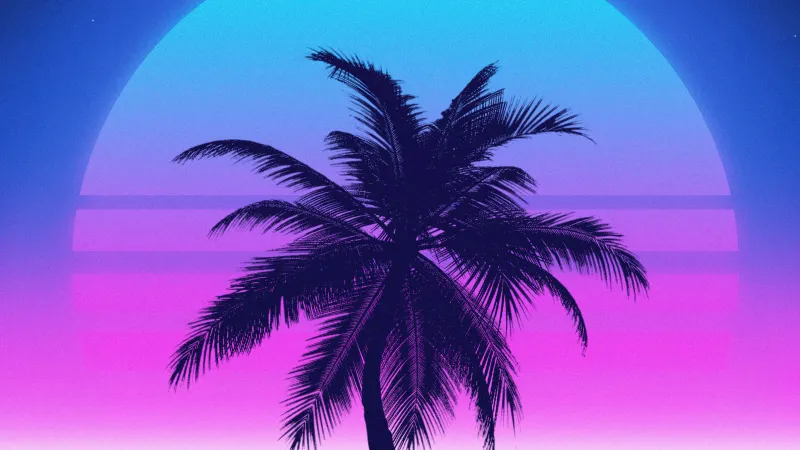 Vaporwave 4K wallpaper, Palm tree, Sunset, Tropical, 5K, Aesthetic wallpaper