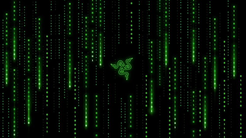 Razer Matrix falling code, 4K wallpaper, Program, Coding, Programming, Bits, Binary