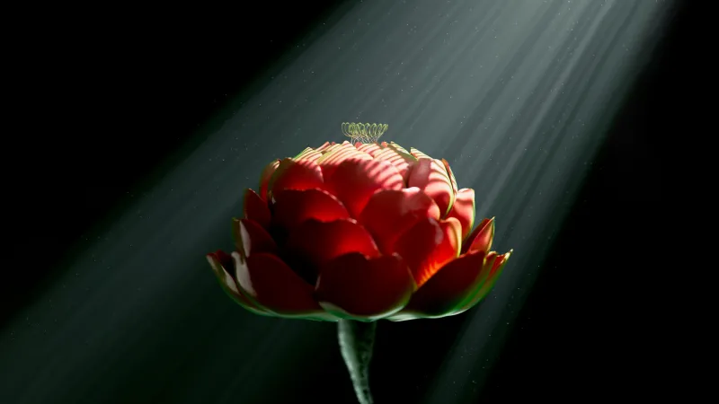 Red flower, Digital Art, Digital flower, Radiance, Dark background, Light beam, 5K, 8K wallpaper, Surreal, Dark aesthetic