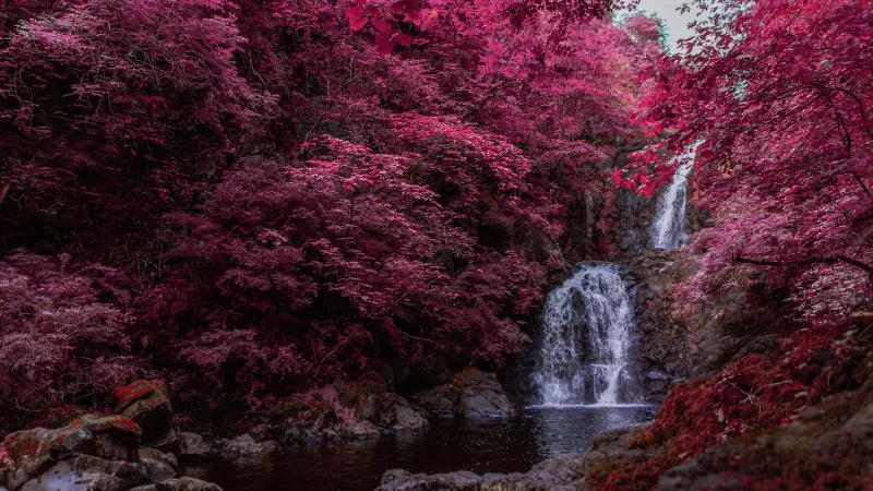 Infrared Waterfall, Pink aesthetic, 5K wallpaper, Water Stream