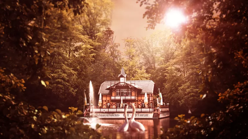 Swan lake house, Freiberg, Warm sunlight, 5K wallpaper