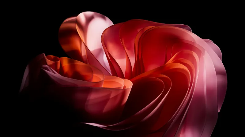 Red 3D bloom wallpaper, Black background, Abstract