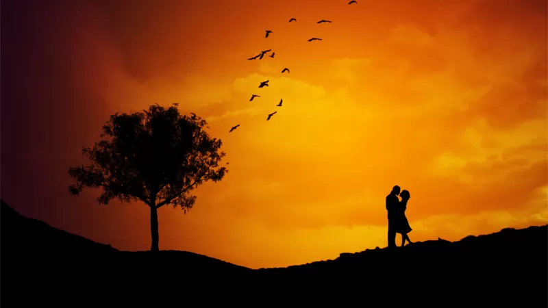 Couple, Silhouette, Orange sky, Tree, Birds, Sunset, Romantic, Landscape