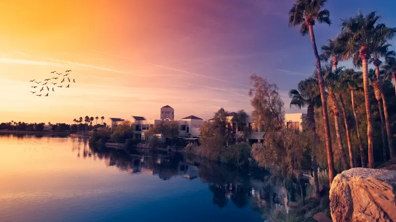 Palm trees sunset, Lakeside resort, Flying birds, HD wallpaper
