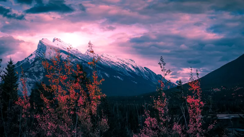 Mount Rundle, Canada, Golden hour, Clouds, Purple sky, Trees, Sunset, Mountain Peak, 5K