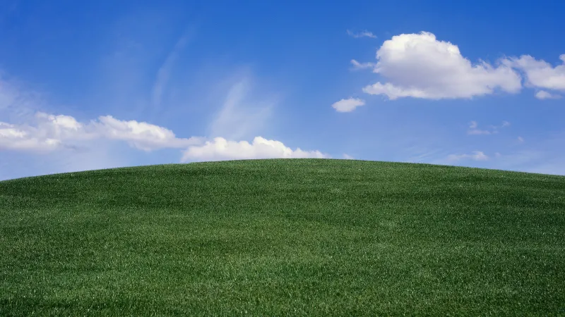 Grass hill, Windows XP wallpaper