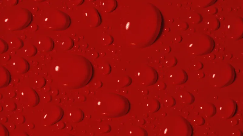 Red bubbles, Windows XP wallpaper