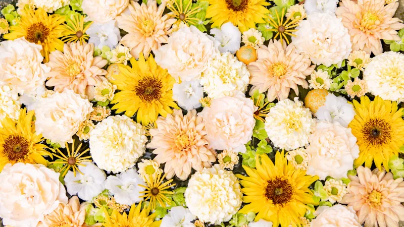 Yellow and peach flowers wallpaper, Sunflowers, Bouquet