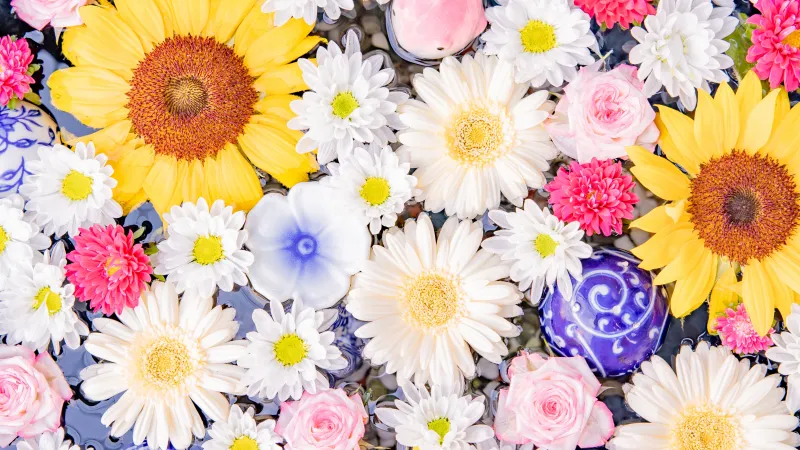 Sunflowers and daisies, Colorful flowers, Floral, 4K wallpaper