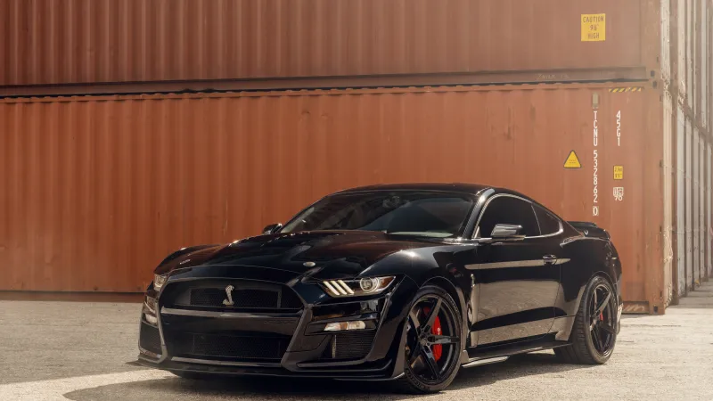 Shelby GT500, 8K wallpaper, Outdoor, Ford Mustang Shelby GT500, 5K, Black cars