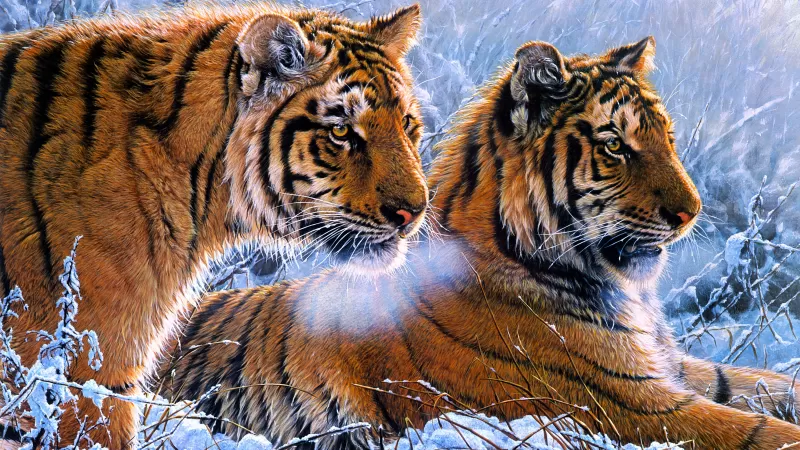 Tigers, Pair, Frozen, Winter, Snow, Big cats, Paint