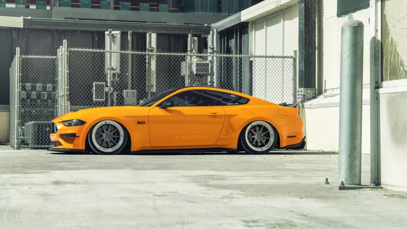 Ford Mustang, Orange cars, Custom tuning, 5K, 8K