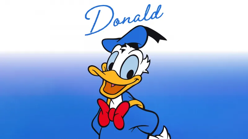 Donald Duck, Cartoon, Disney wallpaper, Blue background, 5K wallpaper