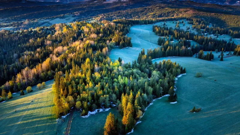 Tatra mountain forest from above, Poland, Green meadows, 5K wallpaper
