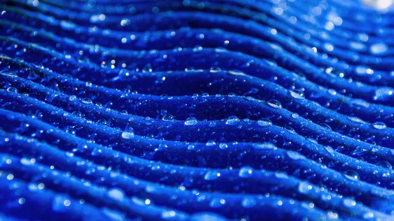 Blue velvet waves, Water drops, Macro, 5K wallpaper