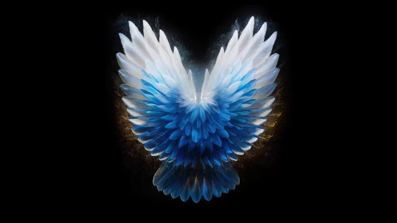 Angel wings, AMOLED Black background 5K