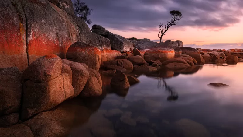 Binalong Bay, Tasmania, Australia, Sunrise, Landscape, Rocks, Body of Water, 5K, 8K