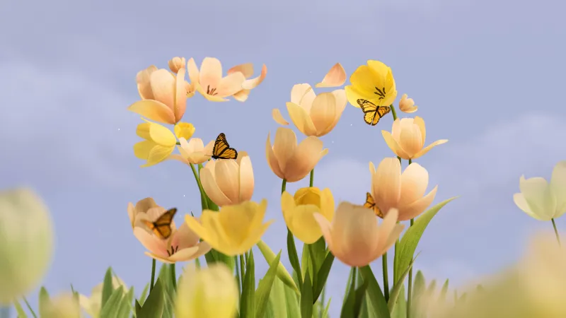 Microsoft Anniversary, Yellow Tulips, Butterflies Wallpaper