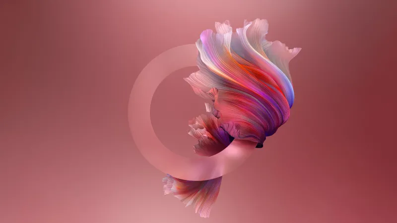 Pink feather swirl wallpaper, Silver ring, Pastel red