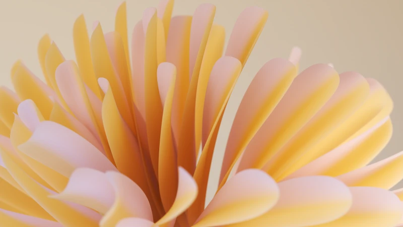 Windows 11 Fluidic, Yellow background 4K
