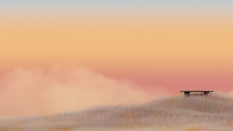 Bench on golden hill wallpaper, Peach sky, Misty, Minimal