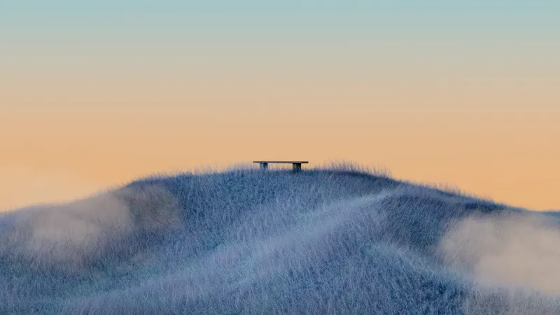 Minimalist Landscape, Grass field Bench, Serene Dawn