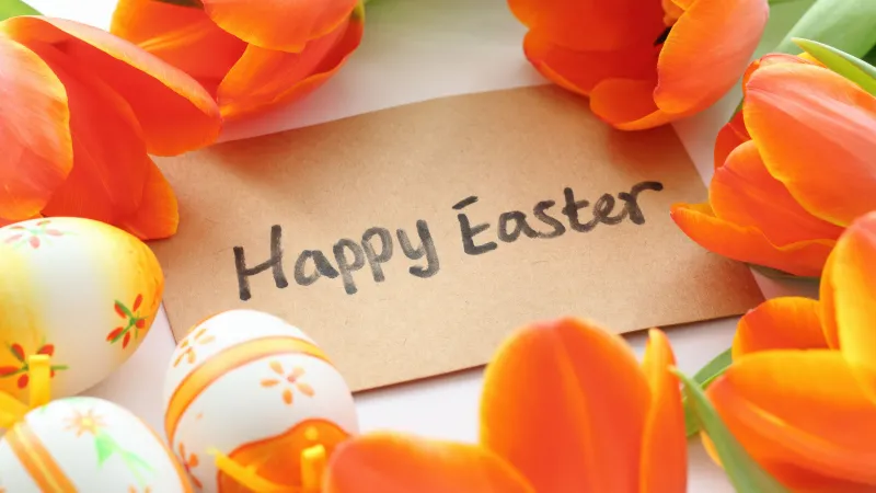 Happy Easter Tulips, Easter eggs, Orange flowers, 5K wallpaper