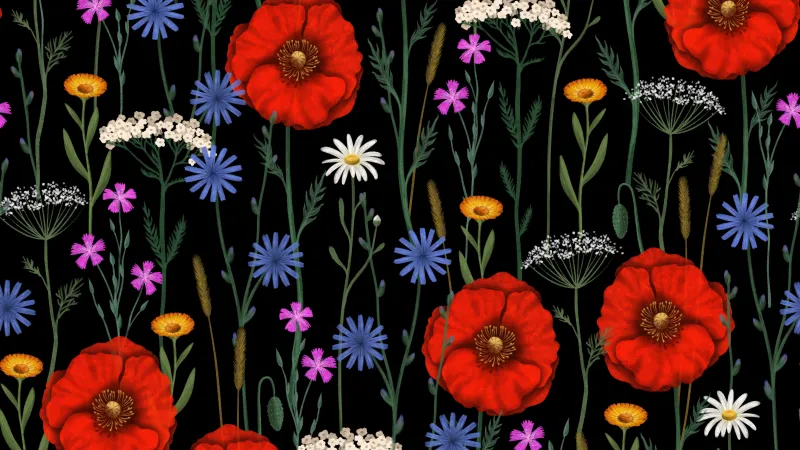 Wildflower pattern wallpaper, Red poppies, Black background