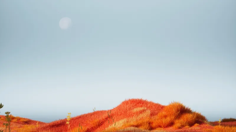 Orange aesthetic Landscape, Surreal Autumn Scenery, Red Grass, Moonrise, Serene Wilderness, 5K wallpaper