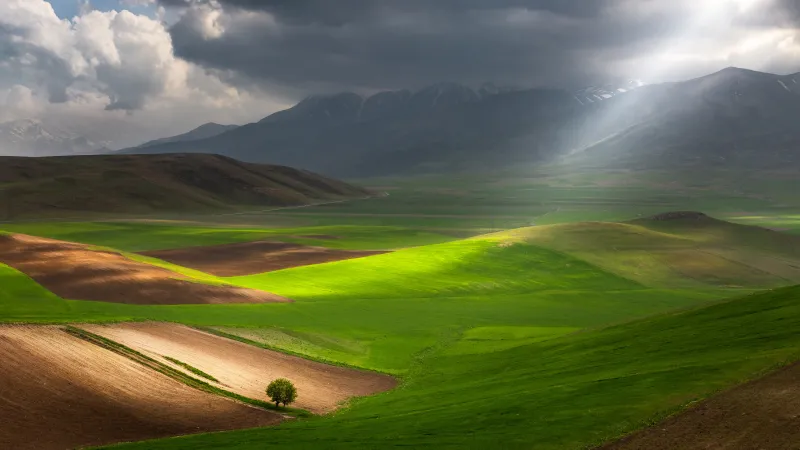Sibillini National Park wallpaper, Lone tree, Sunbeams, Italy