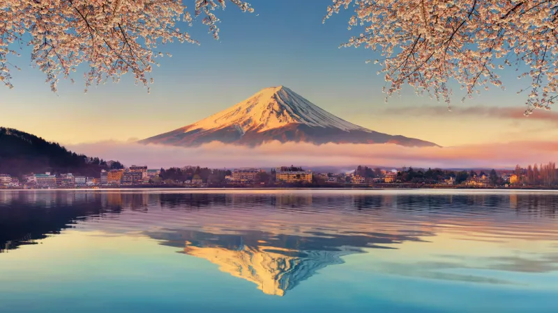 Lake Kawaguchi, Mount Fuji Cherry blossom, Aesthetic Sakura, 5K wallpaper, Japan Sunrise, Spring