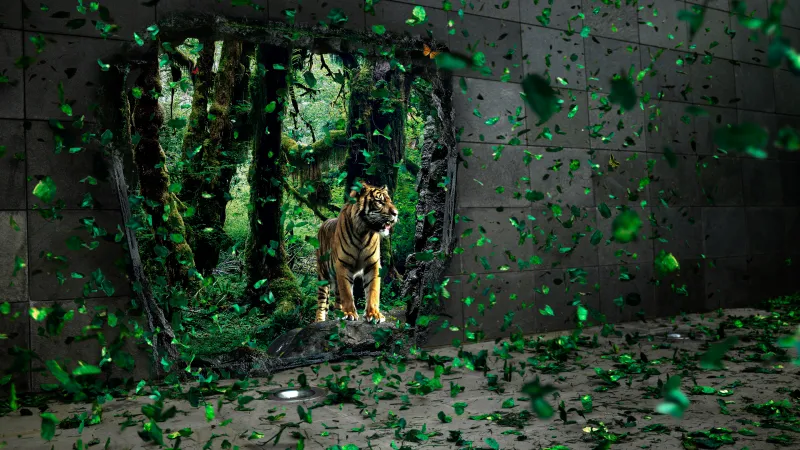 Tiger, Mystical Forest, Jungle, Wildlife, Portal