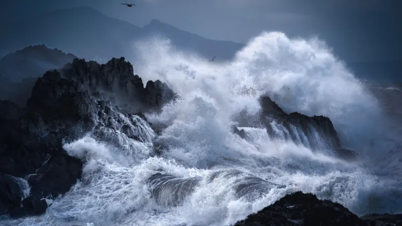 Stormy waves crashing on rocks wallpaper, Dramatic seascape, Seabirds
