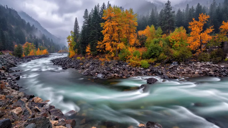 Autumn River Stream, Autumn foliage, Misty mountains, Rocky shore, Long exposure, Serene, Cloudy Sky, Autumn Scenery, 5K