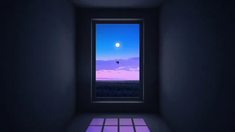Moonlit window in a dark room wallpaper, Purple sky, Bird