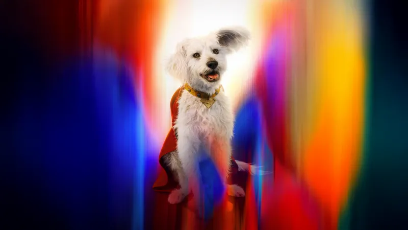 Krypto Wallpaper, Superman, 2025 Movies
