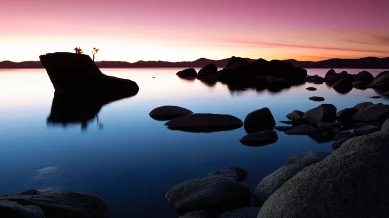 Bonsai Rock, Lake Tahoe, Pink sunset, 5K wallpaper
