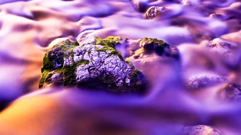 Aesthetic, Water Stream, Moss, Purple background, Long exposure, Rock, Close up, Gradient, Beautiful, 5K