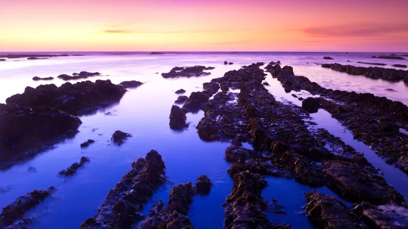Fitzgerald marine reserve, California, USA, Moss Beach, Rocks, Sunset, Purple sky, Landscape, Seascape, Body of Water, Ocean, Horizon, Clear sky, 5K