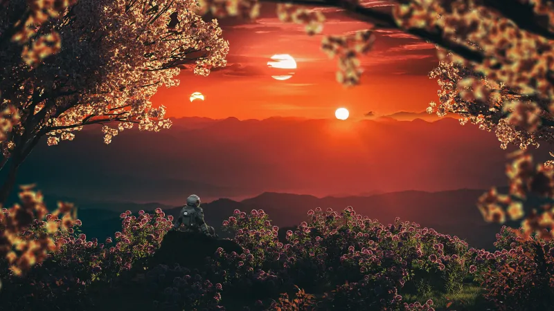 Astronaut watching three suns, Blossom trees, Alien sunset, 5K wallpaper